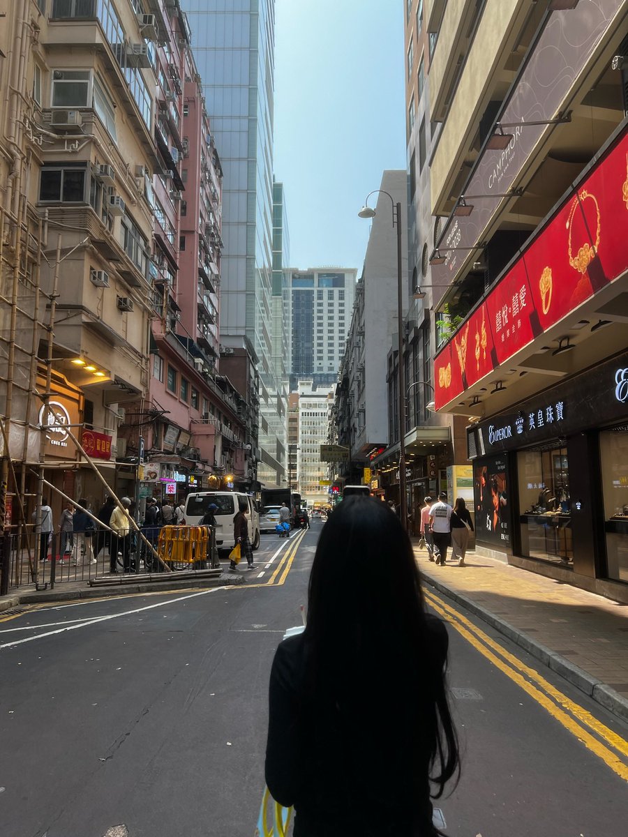 🐱💔 tweet media