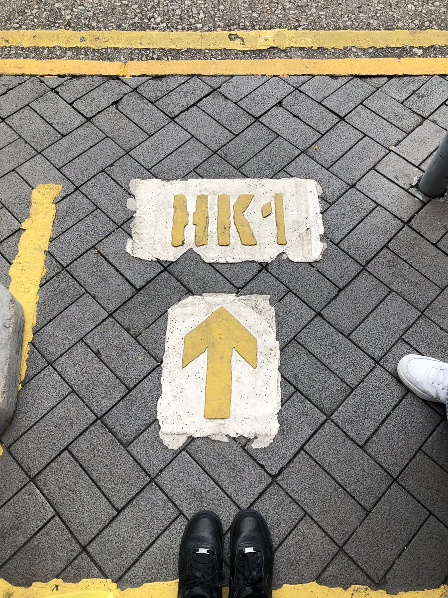 🐱💔 tweet media