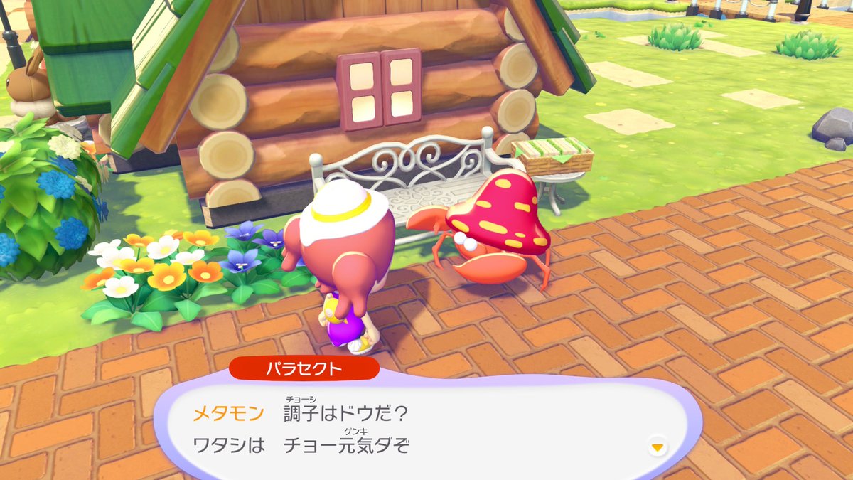 【第11回】
˗ˏˋ #ぽこポケ街づくり日記 ˊˎ˗

みんな個性豊かで、
ポケモンたちとお話しするだけでも楽しい！
～～～～～
メタモンは　ぼくのこと
あんまり　コワがったり　しないよね･･･
～～～～～
ミミッキュにも信頼してもらえたのかも…？

📢ツリー投稿で #ぽこポケ街づくりアンケート 開催！