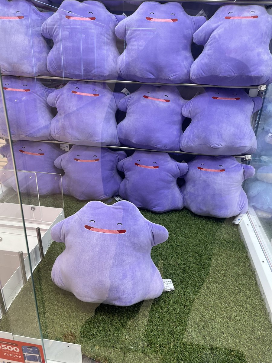 ばらたまる🪿 tweet media