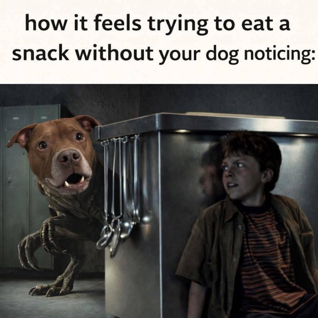 Puppieslover's tweet photo. 😂 https://t.co/ze6pMVDn0l