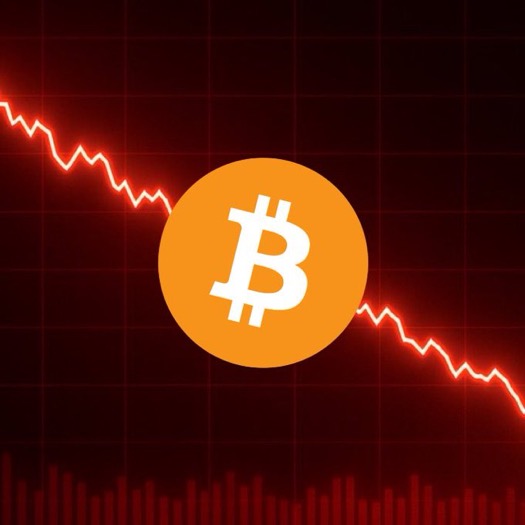 That Martini Guy ₿ tweet media