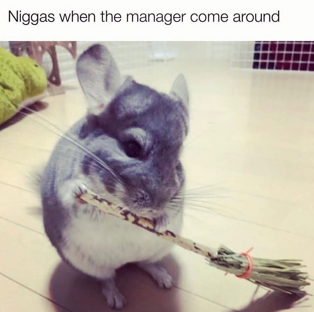 ja-hamon 🪓 tweet media