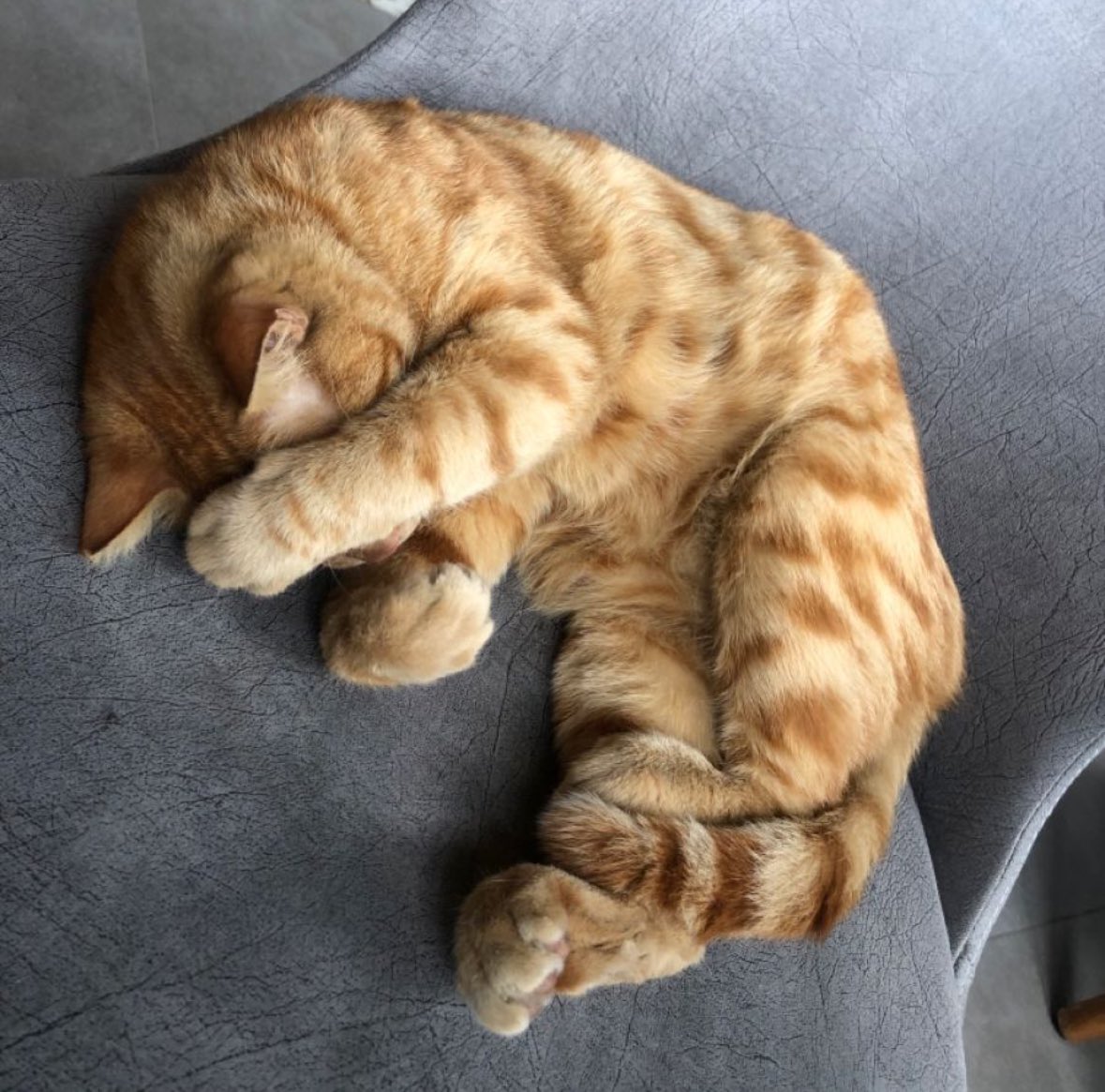 Me because my international friends would never know how funny I'm in my first language🥹🥹🥹