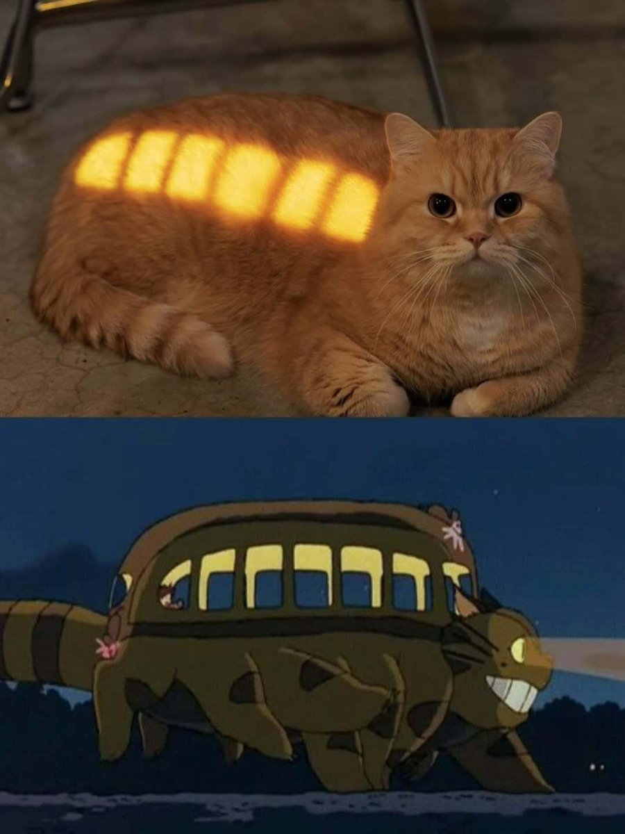 Nature Videos tweet media