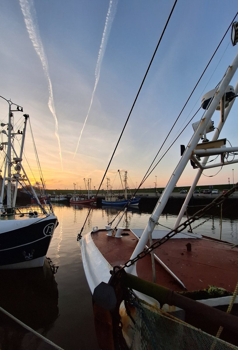 OostfreesenM's tweet photo. Moin!

Ein Gruß aus der Heimat (von Dezember). Ich wünsche allen einen schönen Tag un holt jo munter! 🤗
#Ostfriesland https://t.co/pAVDAT8nfe