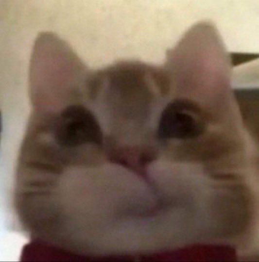 VEE 💜 (@veereemar) on Twitter photo 