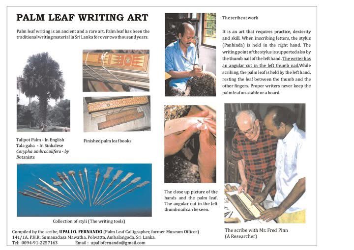 i’ve always been fascinated by the phenomenon of language taking visual form in response to its natural environment.

many ancient scripts from tropical regions like baybayin, khmer, thai, balinese, and javanese developed their rounded, flowing forms not purely for aesthetic