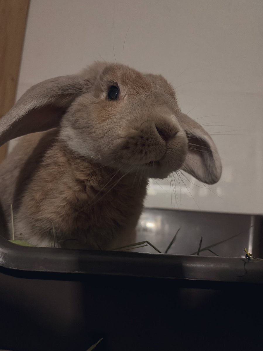 발톱 깎이구 응꼬 닦여서 서러운 아기