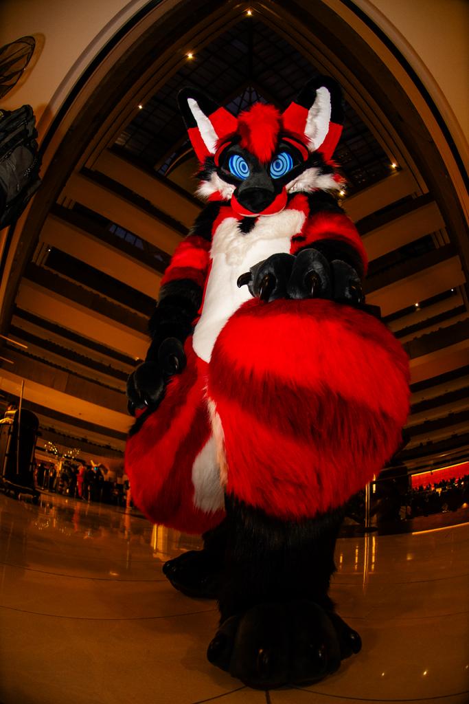 Ascari Husky @FurDu/FWA/AO/AC tweet media