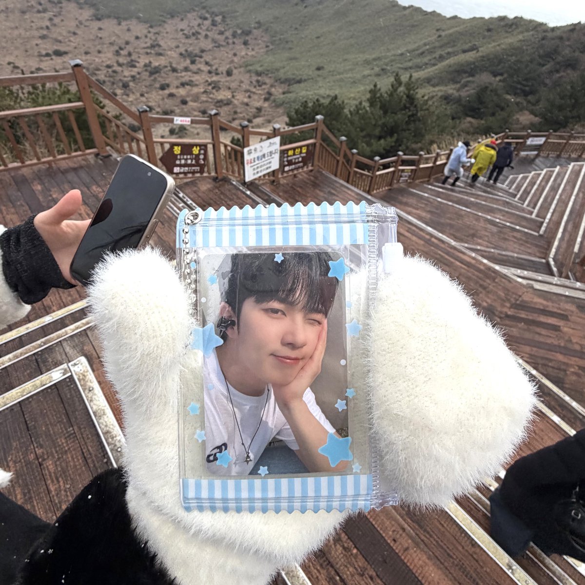 utopia_0so's tweet photo. 제주도에서 한 것: 냅다 포카 내밀기 https://t.co/KvcwcVZd4I