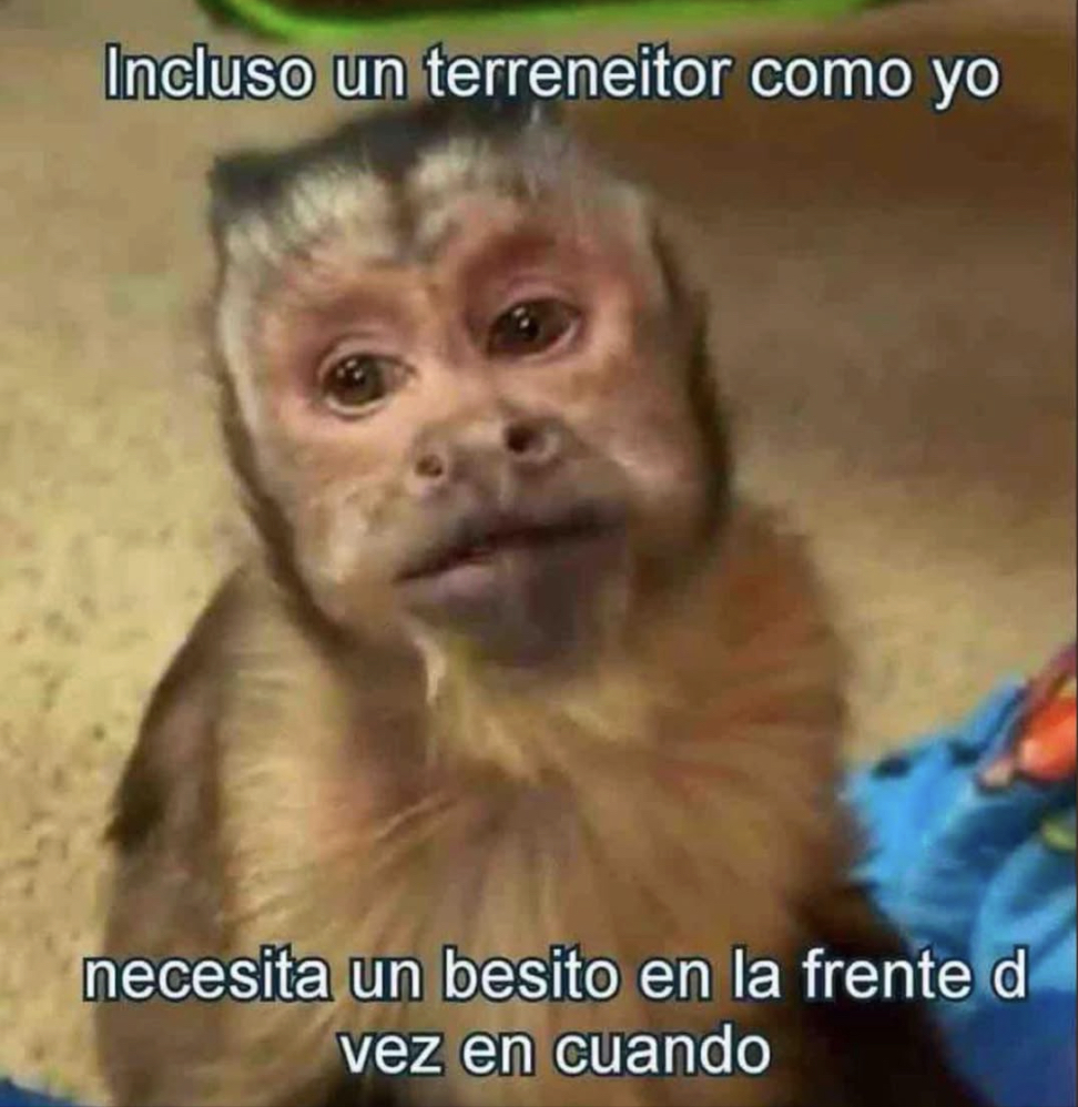 Guarromantico_'s tweet photo. Incluso. https://t.co/Gi39aHMXKg