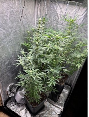 Gendarmerie du Nord tweet media