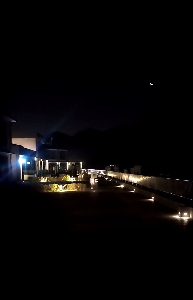 محمد tweet media