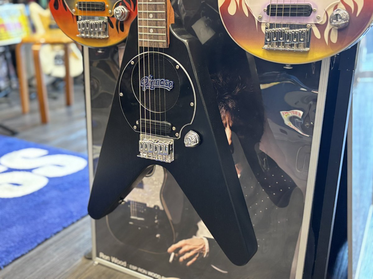 🎉新入荷商品🎉 Pignose(ピッグノーズ)PGG-200V / Stained Black