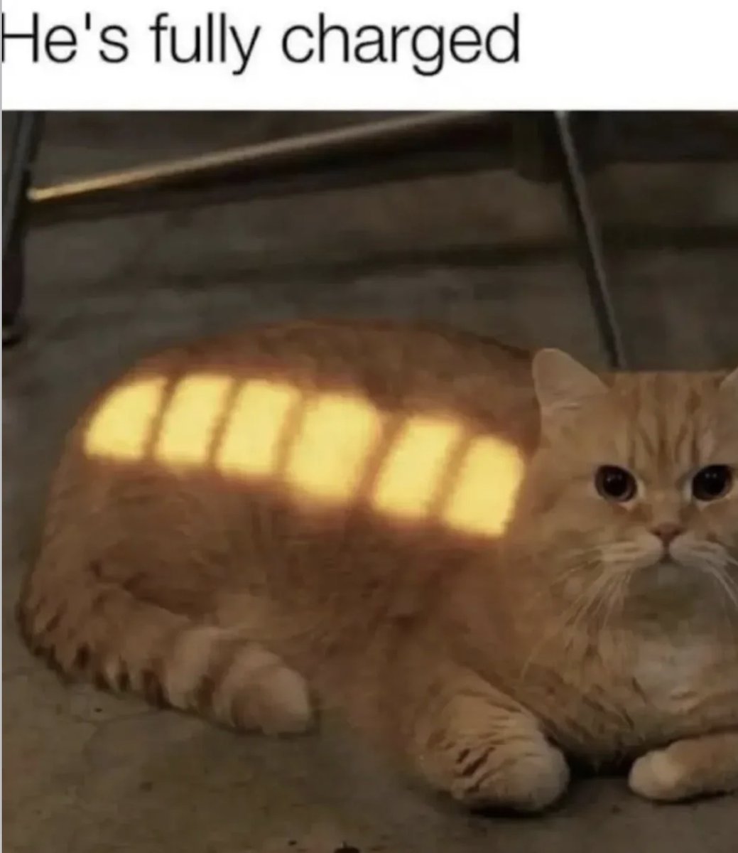 Respectful Memes tweet media