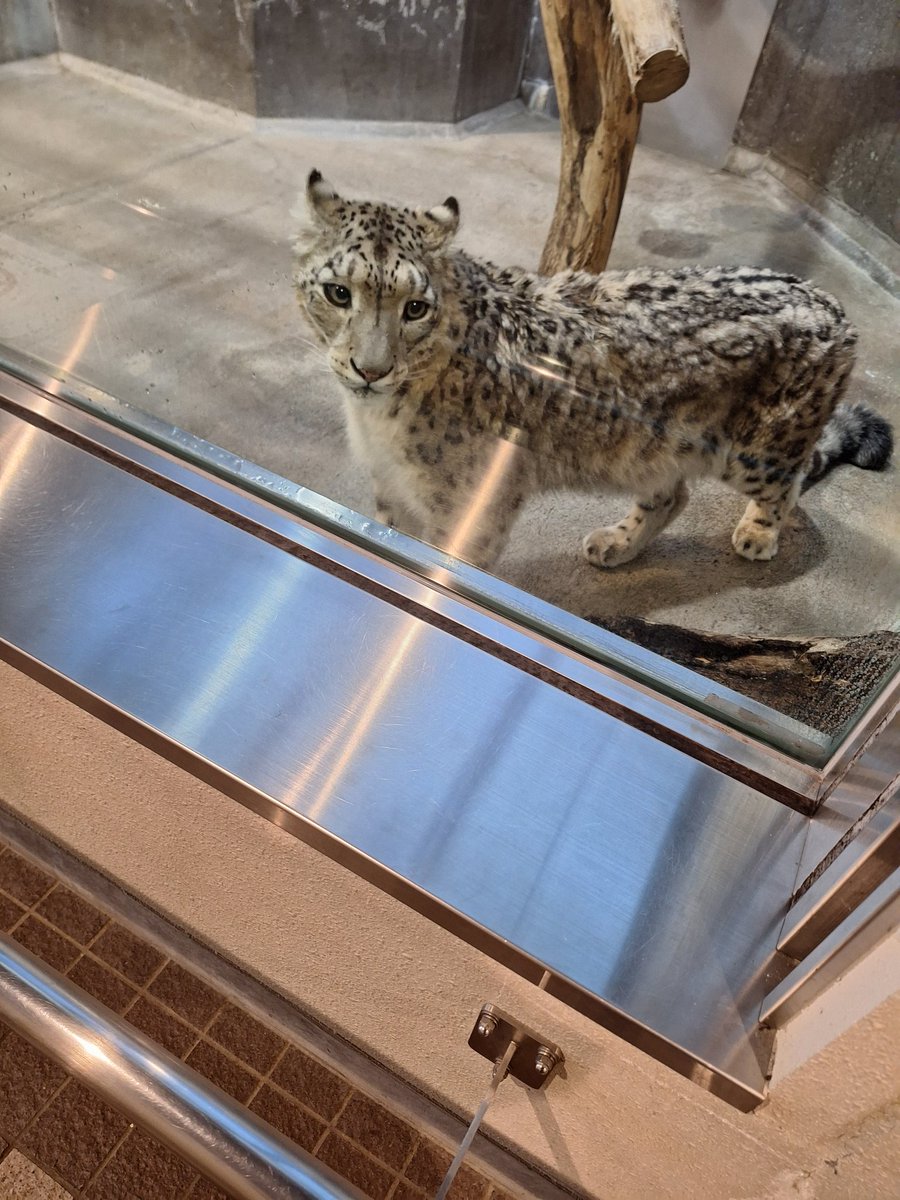 みぃこ (@mnmmnmmnm373) / Posts / X