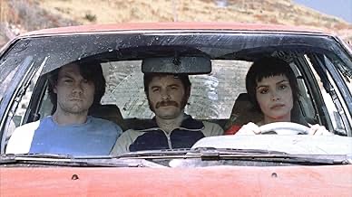 Vadim Kai tweet media