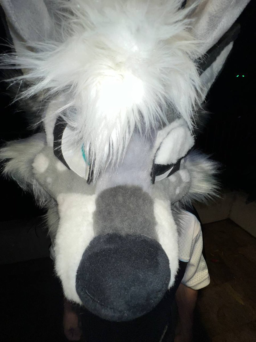 BuckyODD 🔜 FURDU 2026 tweet media