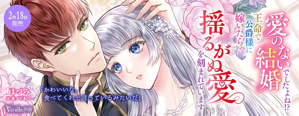 ヴァニラ文庫2/18新刊発売中💖 (@vanillabunko) / Posts / X