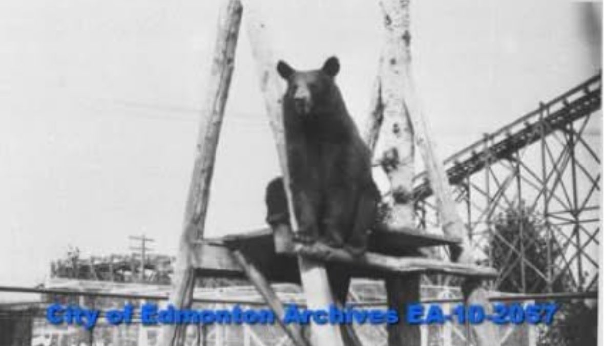 Transit Smokehouse & BBQ tweet media