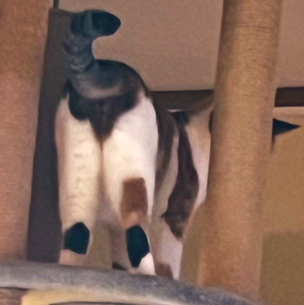 おちり写されたの(//∇//)