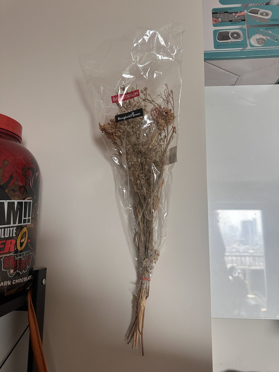 ปีที่แล้วตอนยังคบกับแฟนผมได้รับดอกไม้หนึ่งช่อ เป็นดอกไม้ที่ไม่ได้มีราคาค่างวดอะไรสูงนัก แต่ก็เป็นครั้งแรกที่ได้จากคนอื่นโดยไม่ต้องร้องขอ

แม้จะเลิกกัน และ ดอกไม้ไม่อยู่ตลอดไป แต่ความรู้สึกยินดีในครั้งนั้นยังอยู่ในใจเสมอ

รักก็แสดงออก ชอบก็บอก โกรธก็เคลียร์ — ชีวิตมันสั้นนะ