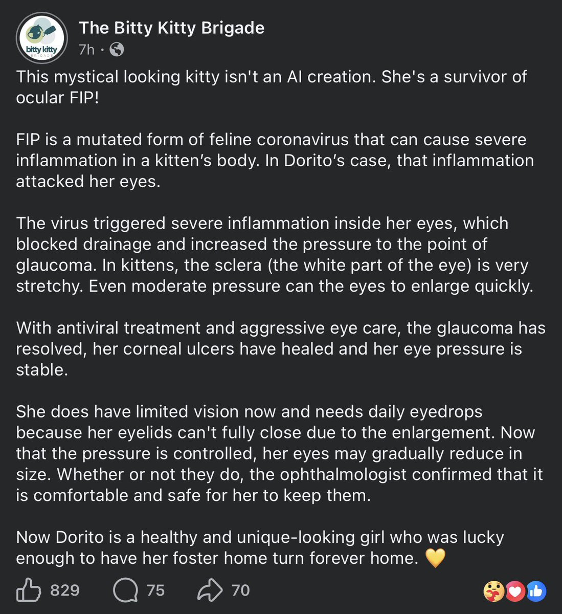 the rescue i got Lorenzo from posted this 😭