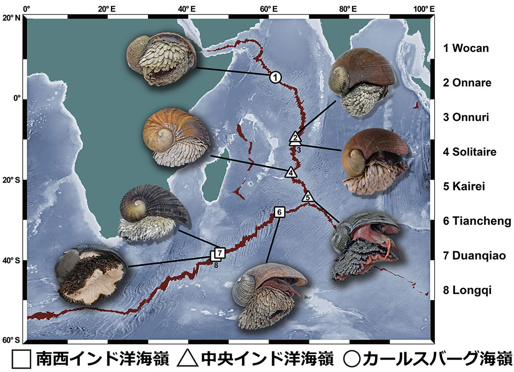 CHIKYU 地球深部探査船「ちきゅう」 (@Chikyu_JAMSTEC) / Posts / X