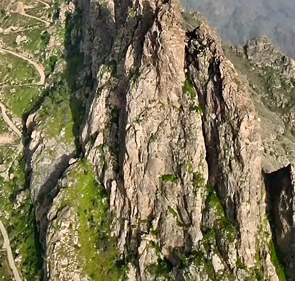 سعيد السهيمي tweet media