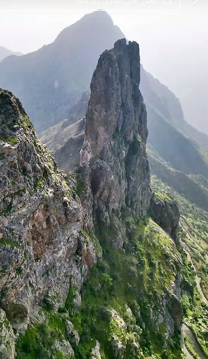 سعيد السهيمي tweet media