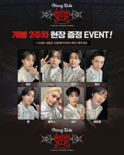 ✧ STRAY KIDS THE DOMINATE EXPERIENCE X CGV 映画観覧現場トレカ