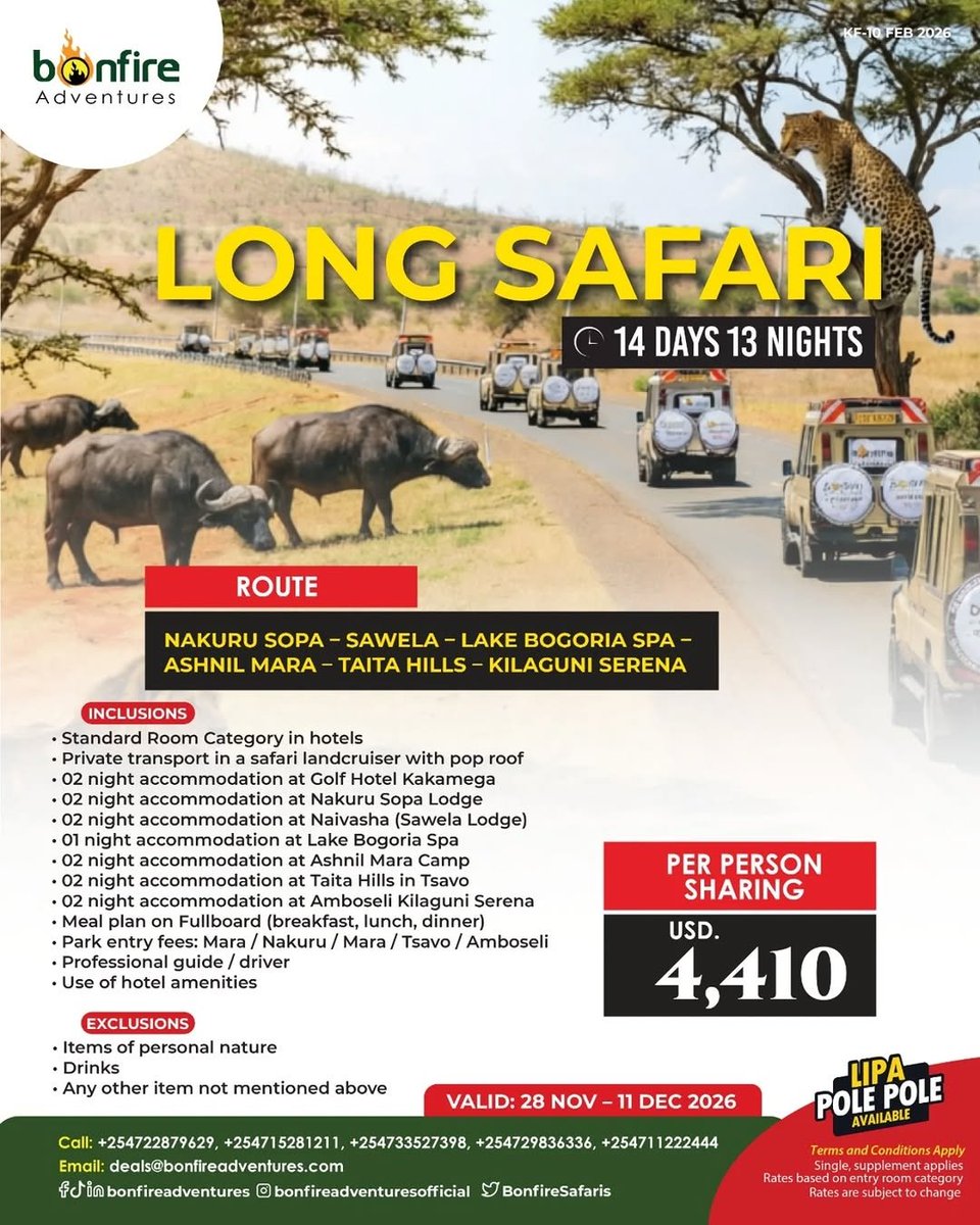 𝗕𝗼𝗻𝗳𝗶𝗿𝗲 𝗔𝗱𝘃𝗲𝗻𝘁𝘂𝗿𝗲𝘀 tweet media