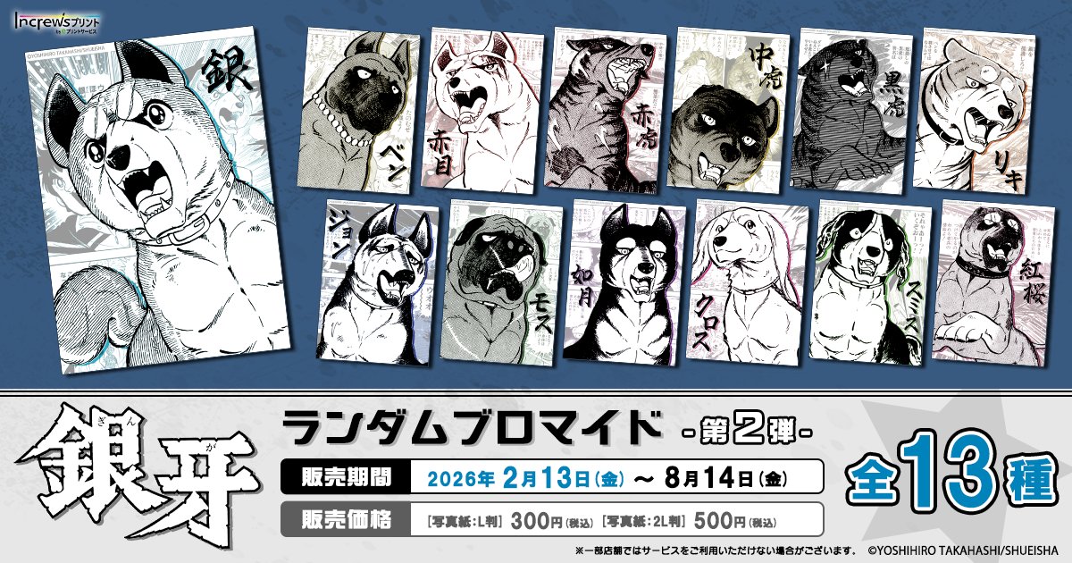 銀牙ランダムブロマイド（L判、2L判混在） ✨NEW✨／ 「#銀牙 -流れ星 銀-」 「インクルーズプリント」より