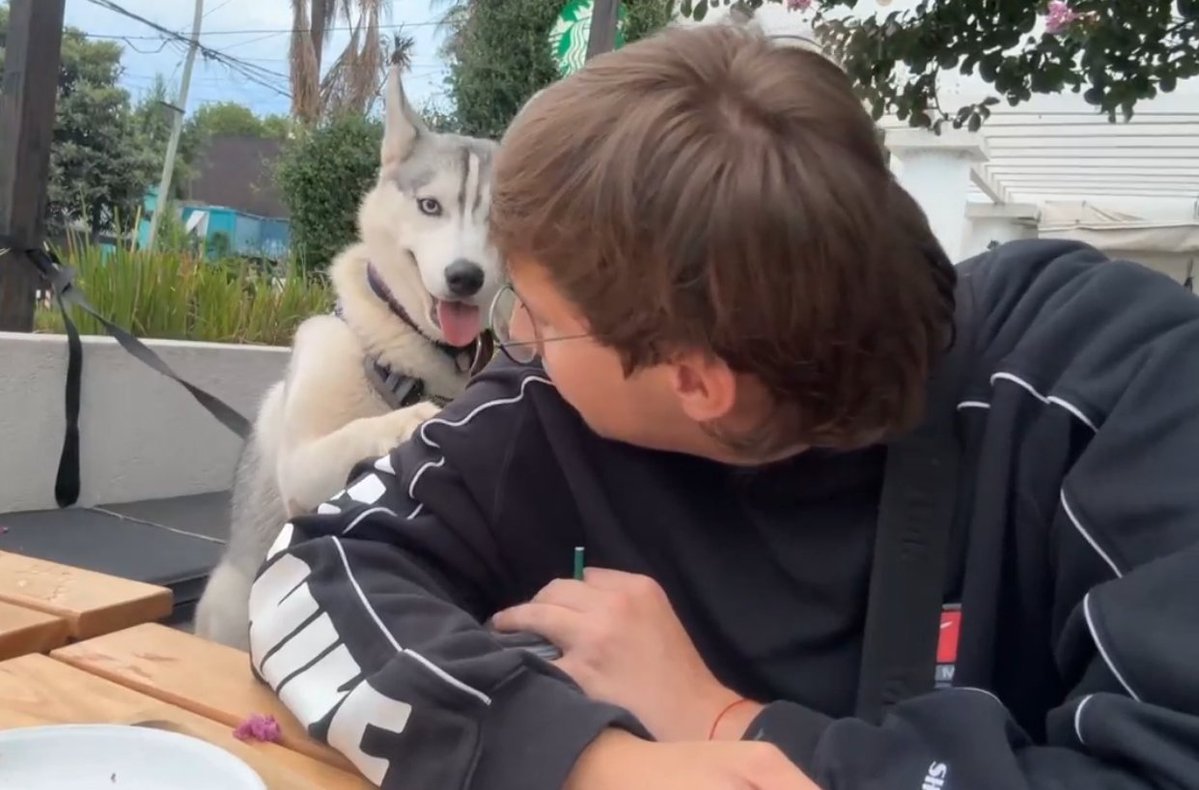 Ellos son capaces de reparar lo que está roto sin necesidad de hablar Bruno