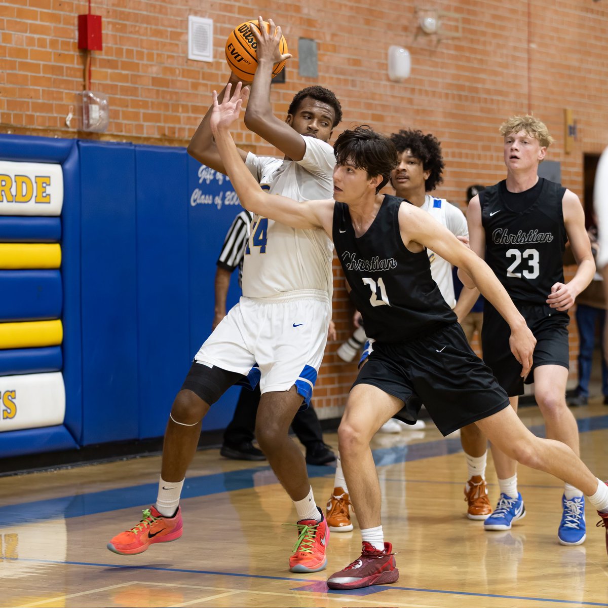 Stephanie van Latum tweet media