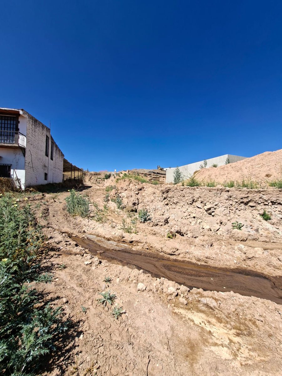 Eleonora AS tweet media