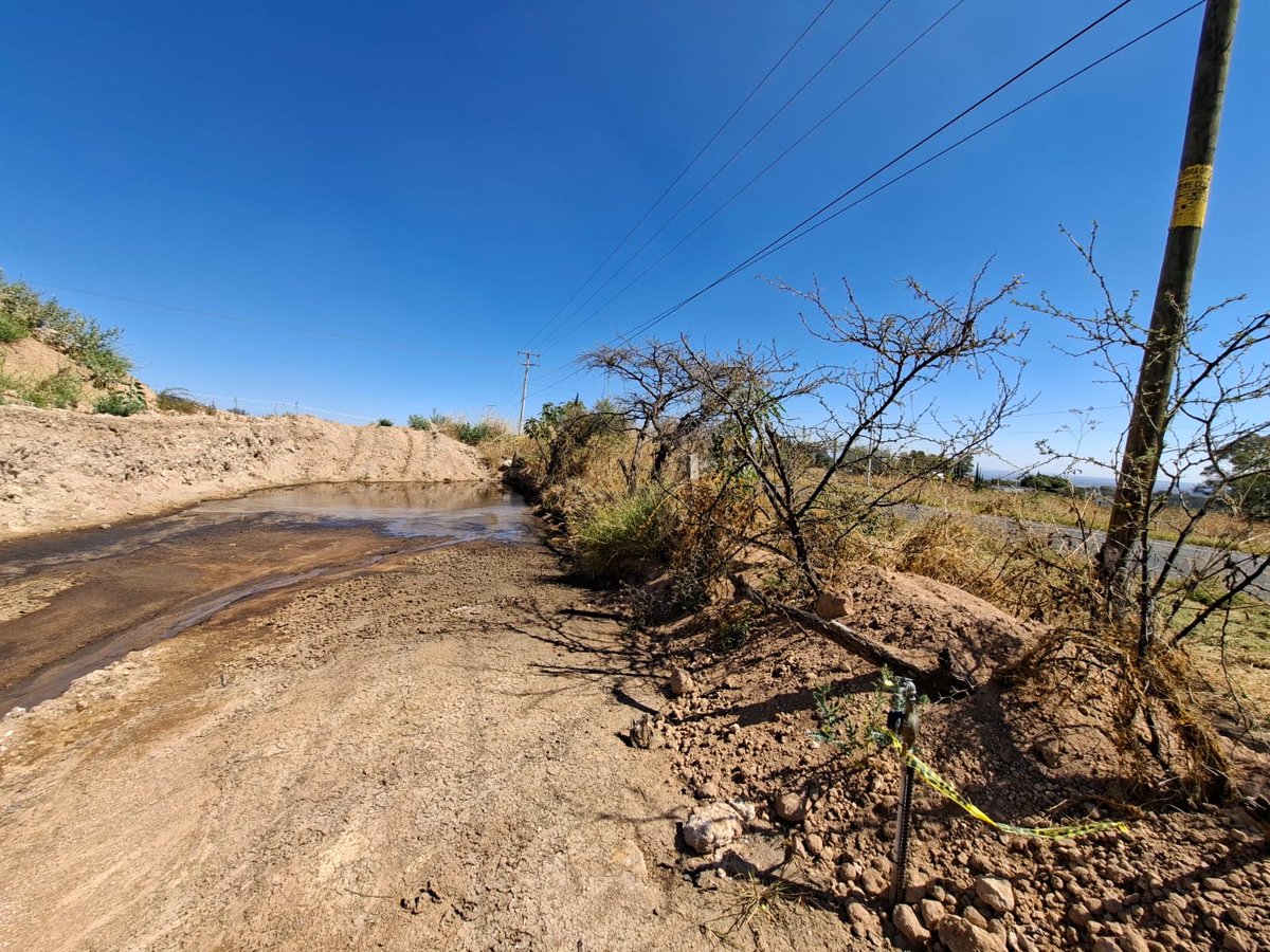 Eleonora AS tweet media