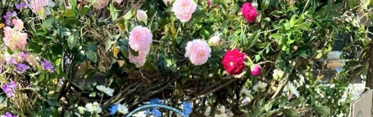 vxtulet's tweet image. Test ht ? #zonauang