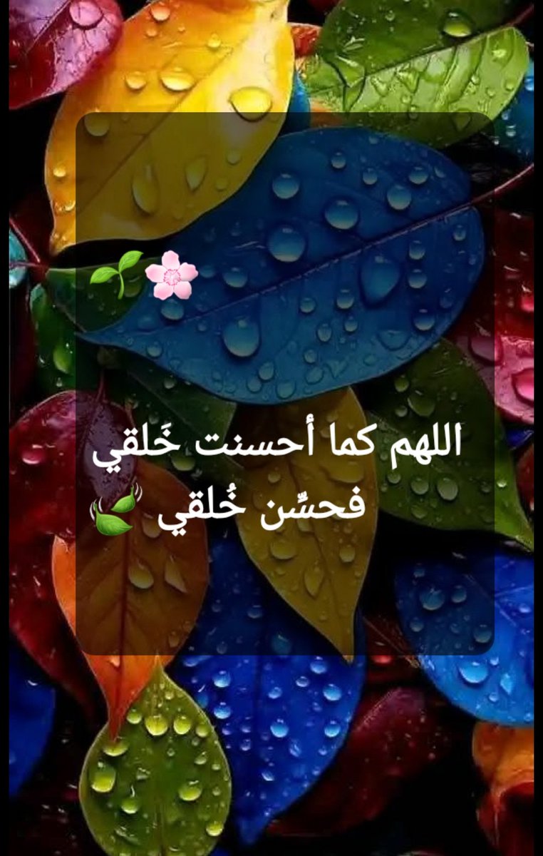 ام أحمد 🍃 (@umahmed832) on Twitter photo 