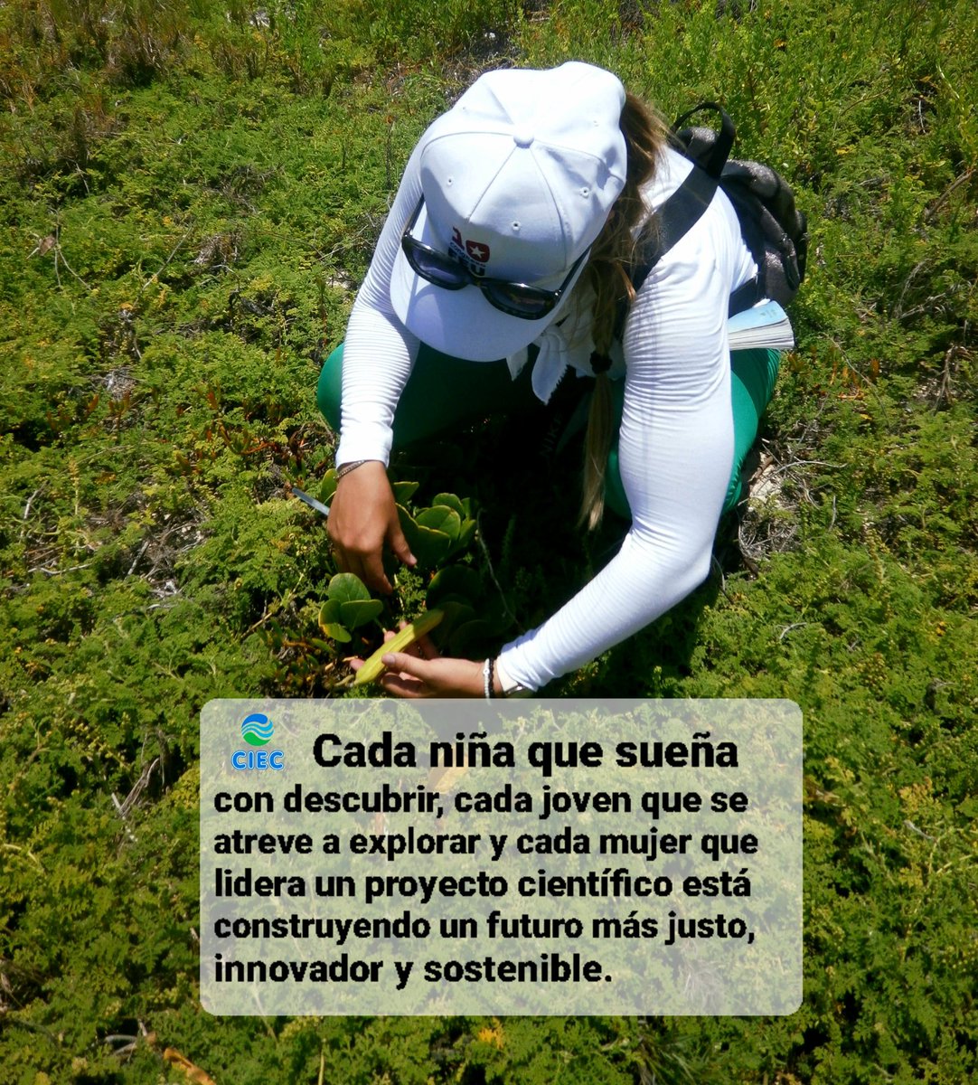 DeCosteros's tweet photo. #11defebrero | Celebramos la curiosidad que pregunta, la inteligencia que investiga y la pasión que transforma el mundo.
.
🗓 Día Internacional de la Mujer y la Niña en la Ciencia ♀️ 
Desde el #CIEC felicitamos a las #MujeresEnLaCiencia  @citmaciego https://t.co/pkkk2V6VUe