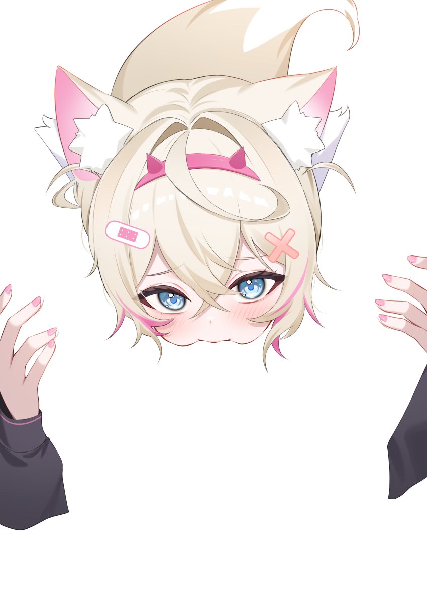 슈비/シュヴィ tweet media