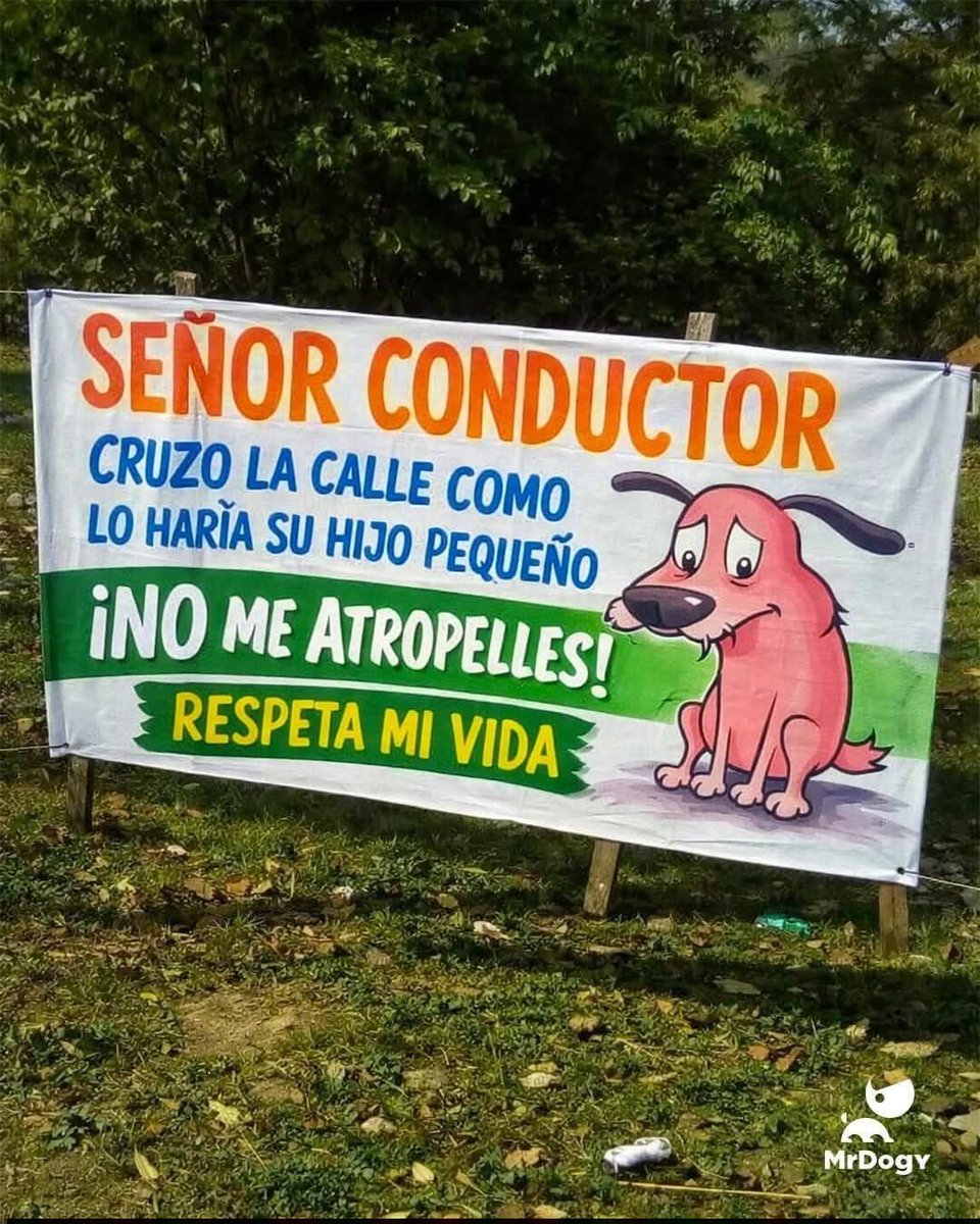 Dilo con perritos (@diloconperritos) on Twitter photo 