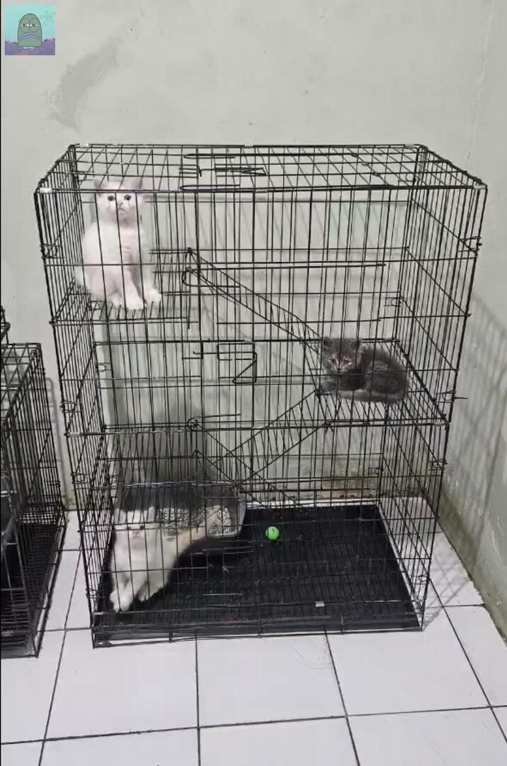 Tanyarl 💚 tweet media