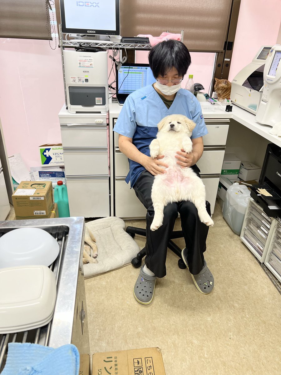 6pikuuOTUnIU9W6's tweet photo. ほうほう　と　せんせい https://t.co/D1qmpWogLe
