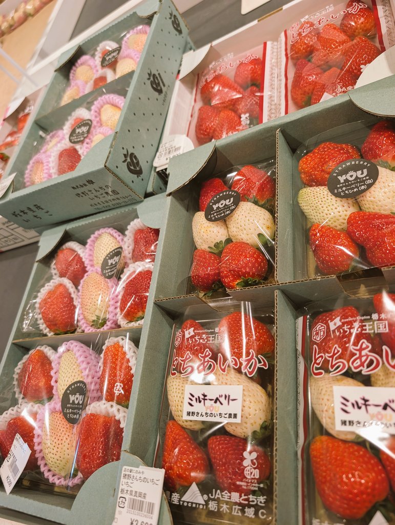 🍓日本一のいちごの町