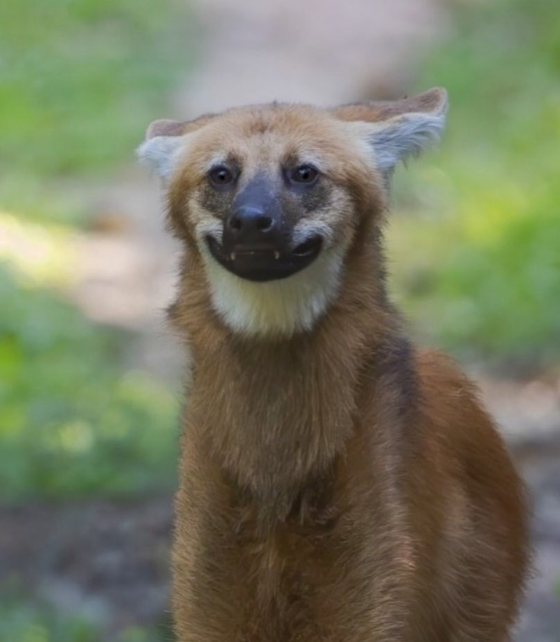 Zac 🍒 Compact Disc HQ tweet media