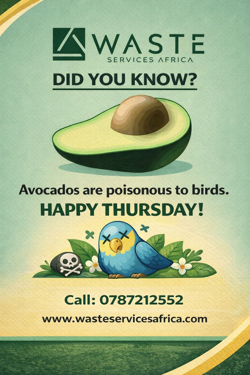 WASTiNNOVA Africa (@wastinnovazim) on Twitter photo 