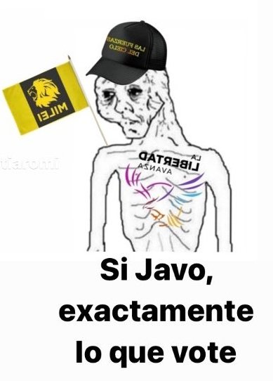 Se aprobó la Reforma Laboral y les juro que me parece inentendible lo dormido que está este país. En qué momento el argentino promedio que de pedo llega a fin de mes se volvió defensor de politicos y empresarios millonarios? Entras a los comentarios en paginas de noticias y está