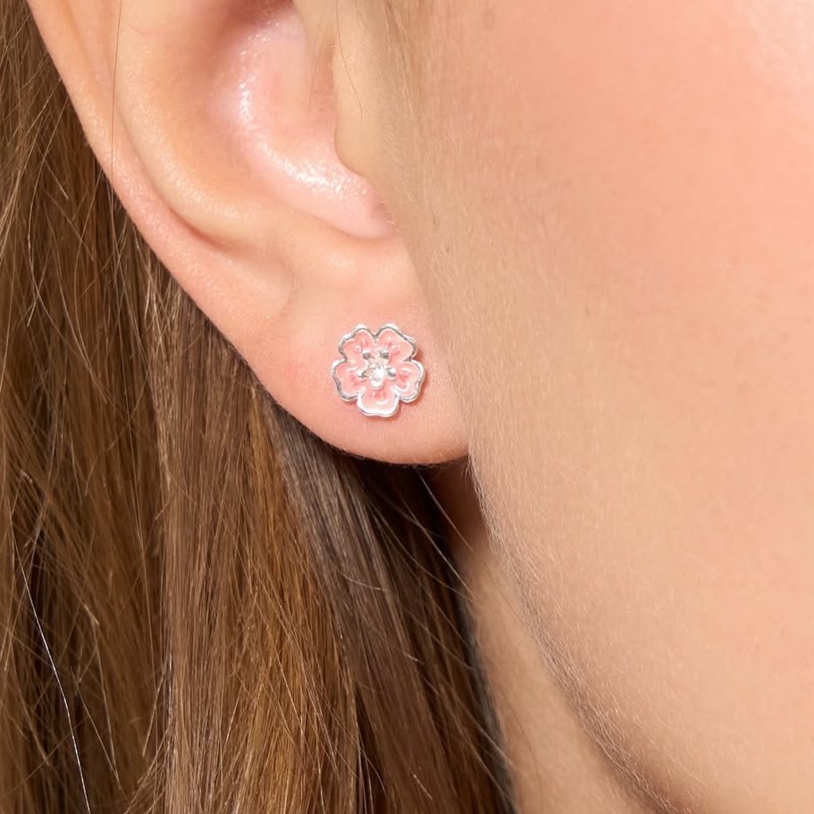 alnp — tweet media